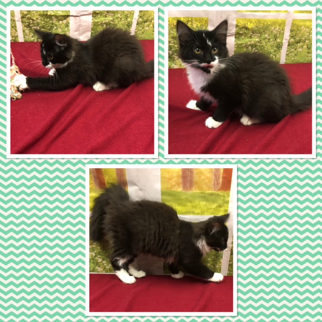(View)